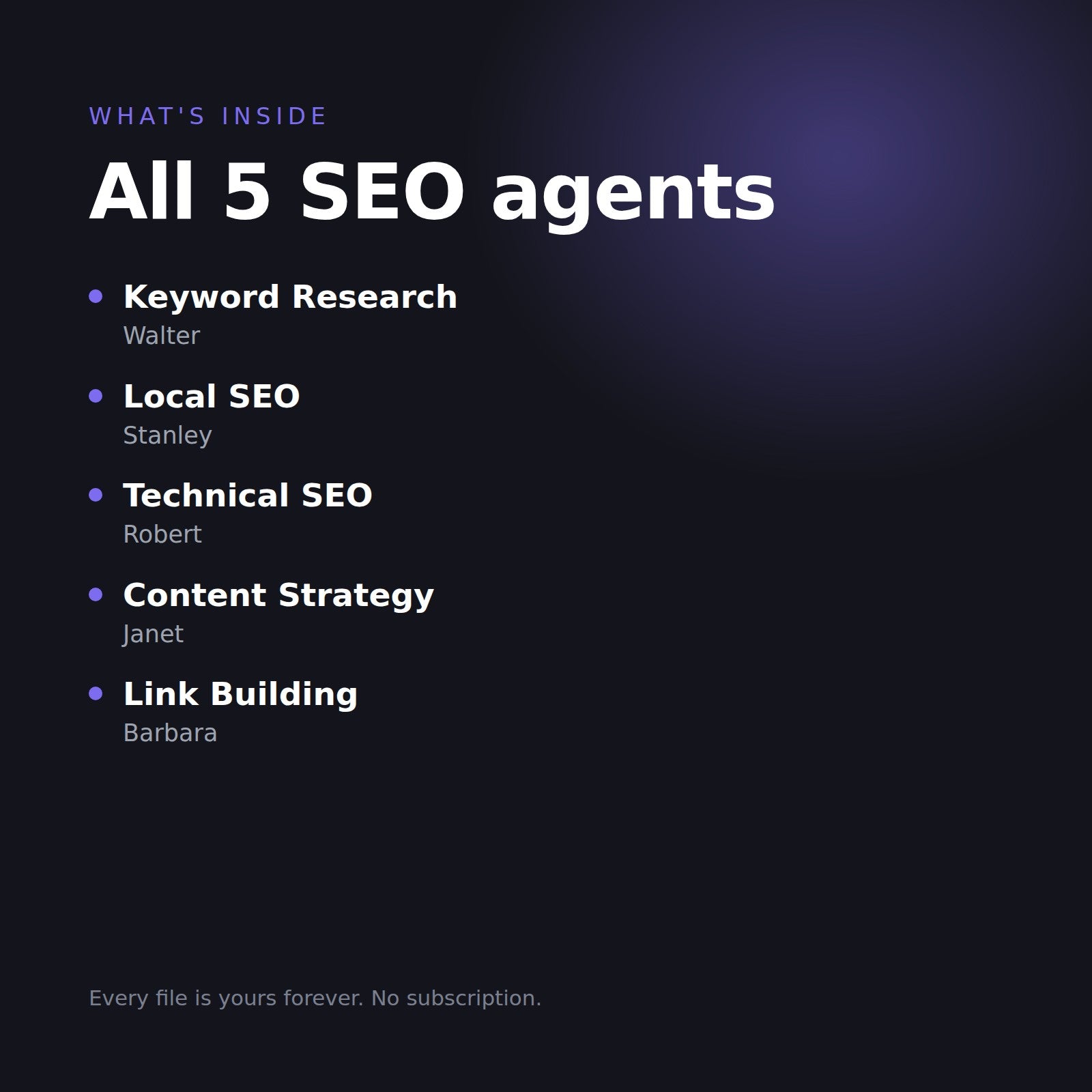 What is inside the SEO Agent Bundle: Keyword Research, Local SEO, Technical SEO, Content Strategy and Link Building
