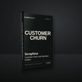 Seraphina - Customer Churn and Retention Analyst AI Skill cover