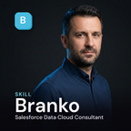 Branko - Salesforce Data Cloud Consultant AI Skill