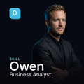 Owen — Salesforce Business Analyst cover