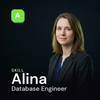 alina Software IT cover