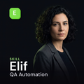 elif Software IT cover