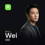 wei Software IT cover