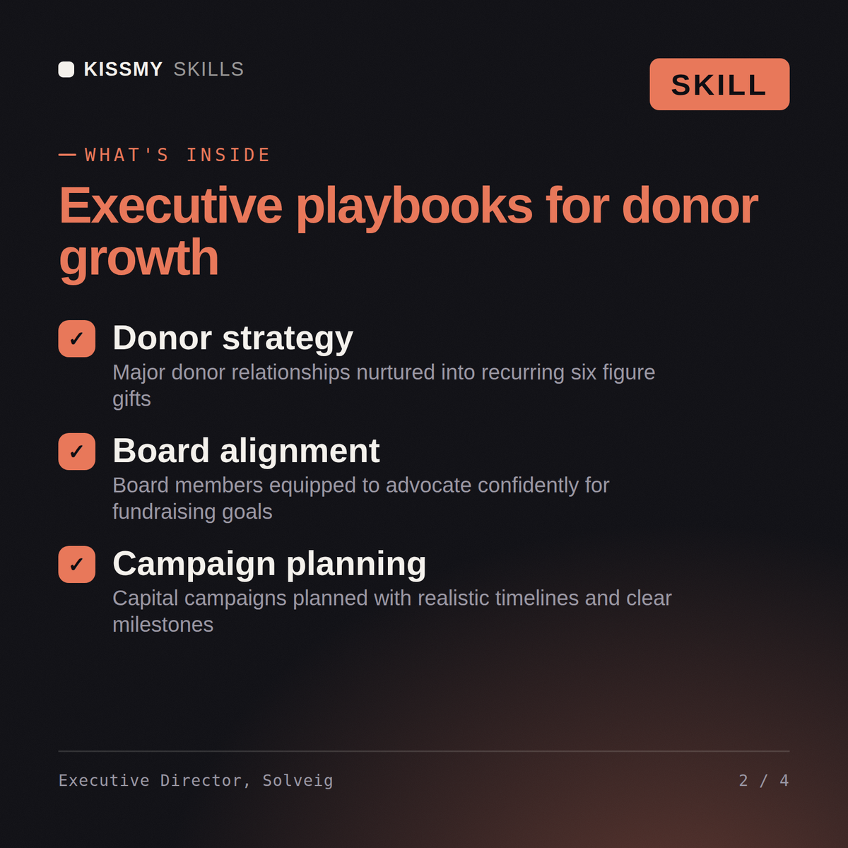 What's inside the Executive Director, Solveig AI skill: Donor strategy, Board alignment, Campaign planning