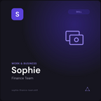 Sophie — Finance Team AI Skill preview 3