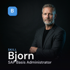 Bjorn — SAP Basis Administrator cover