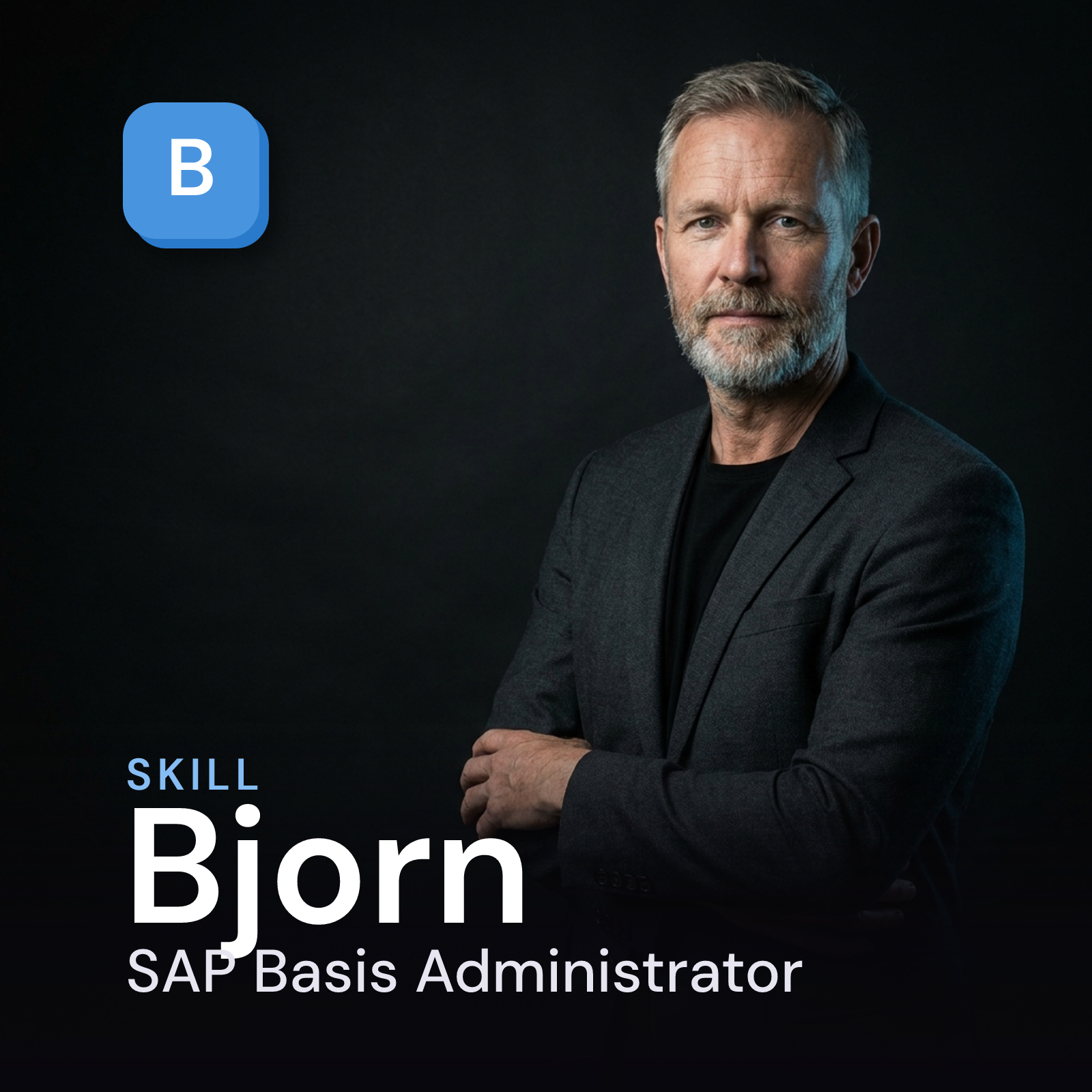 Bjorn — SAP Basis Administrator cover