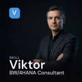 Viktor — SAP BW/4HANA Analytics cover