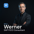 Werner — SAP FICO Consultant cover