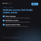 What's inside the Oracle NetSuite Administrator, Tariq AI skill: Role cleanup, Workflow review, Saved search fixes