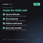 What's inside the Valdis - Creator Email Automation Specialist AI skill: Tag and field plan, Flow blueprints, Platform build sheet, Send-safe checklist