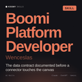 Boomi Platform Developer, Wenceslas AI skill by KissMySkills, cover