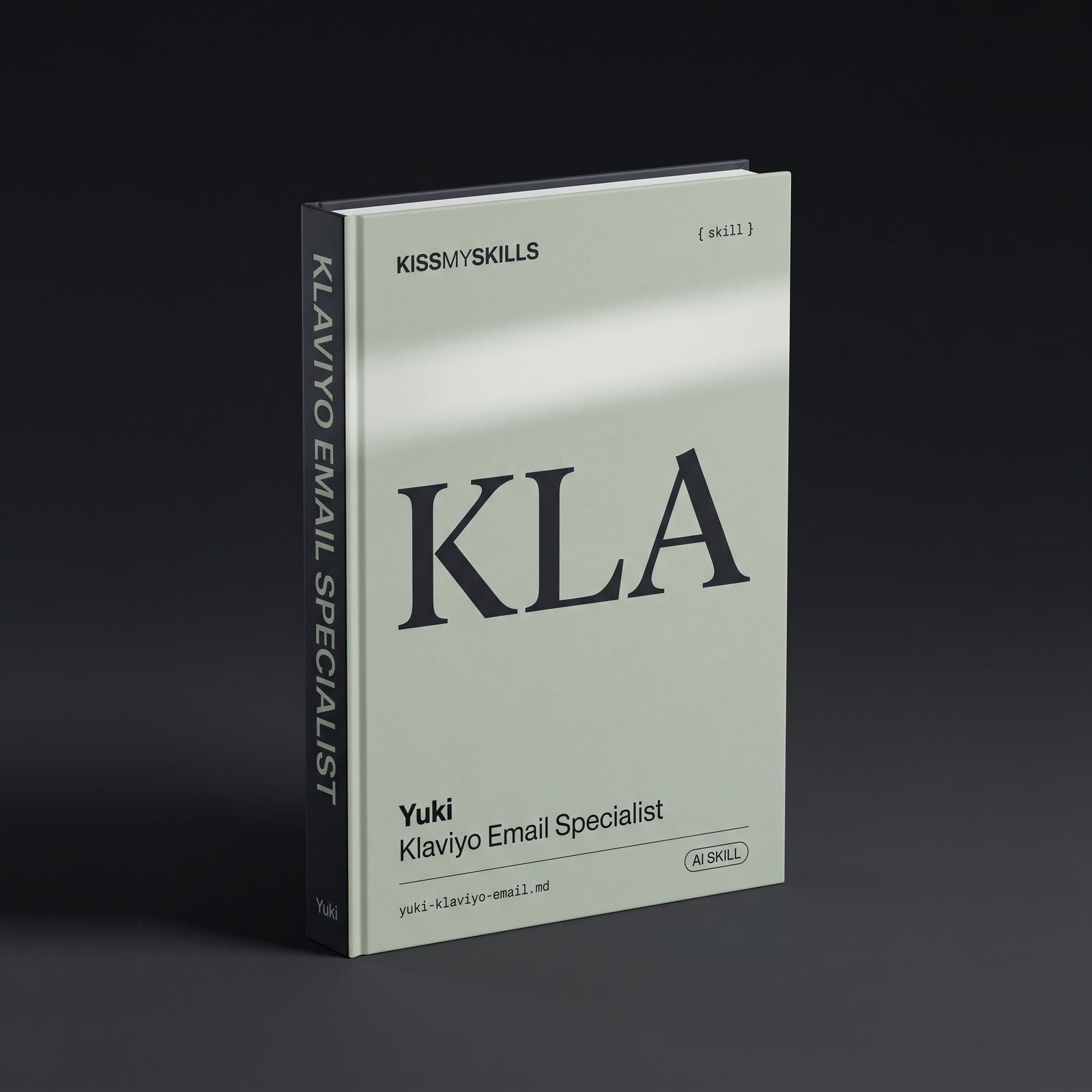 Klaviyo Email Specialist Claude skill by KissMySkills, hardcover volume cover