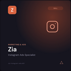 Zia — Instagram Ads Specialist AI Skill preview 3